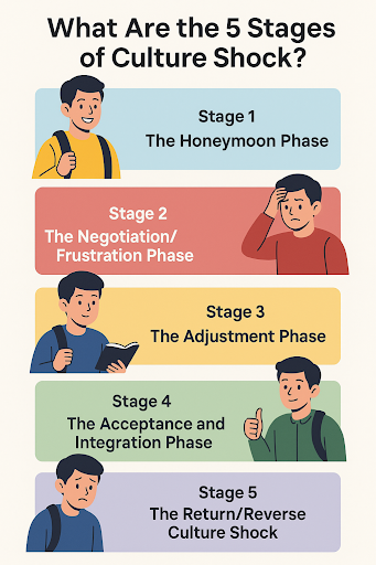 5 Stages of Culture Shock?

