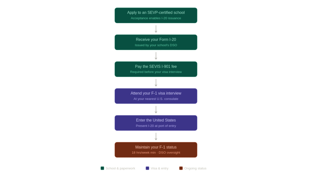 flowchart of the F-1 student visa process for ESL students, from SEVP school acceptance to maintaining legal status.